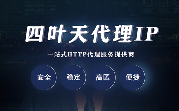 【齐齐哈尔代理IP】代理ip客户端使用教程