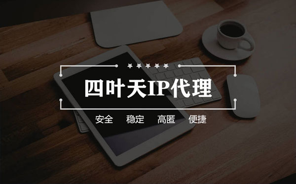 【齐齐哈尔代理IP】如何快速搭建代理IP？怎么检查代理的效果？