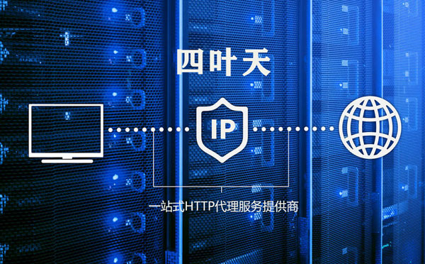 【齐齐哈尔代理IP】代理IP的主要用途和使用注意事项